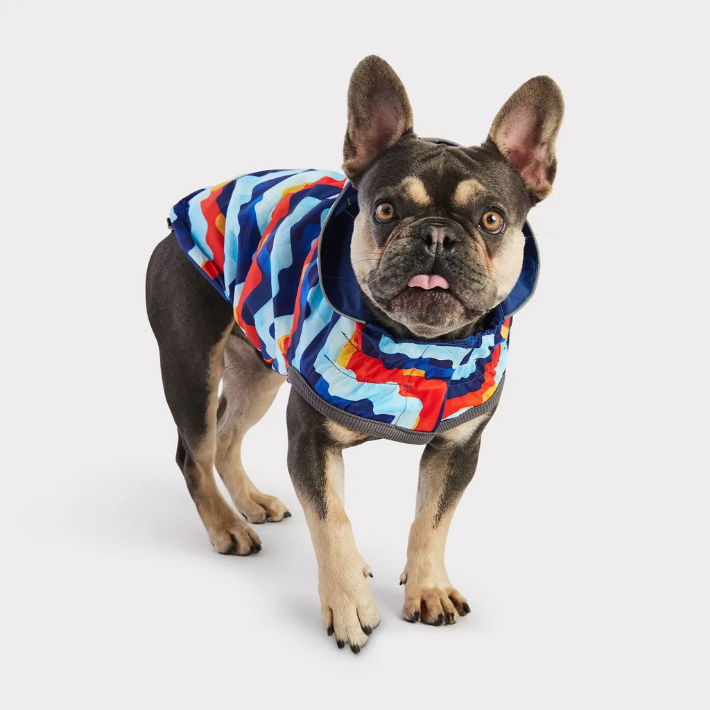 Reversible Dog Raincoat | Navy Retro