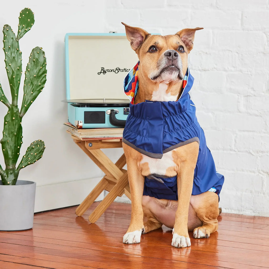Reversible Dog Raincoat | Navy Retro