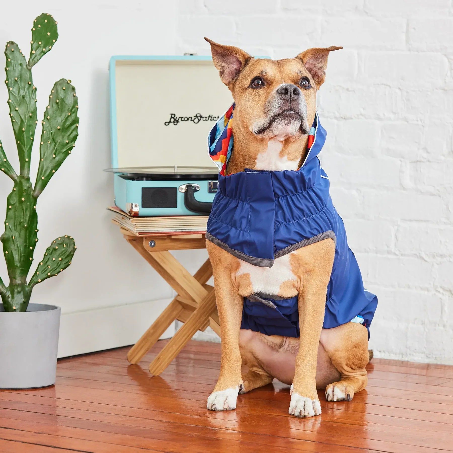 Reversible Dog Raincoat | Navy Retro