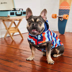 Reversible Dog Raincoat | Navy Retro