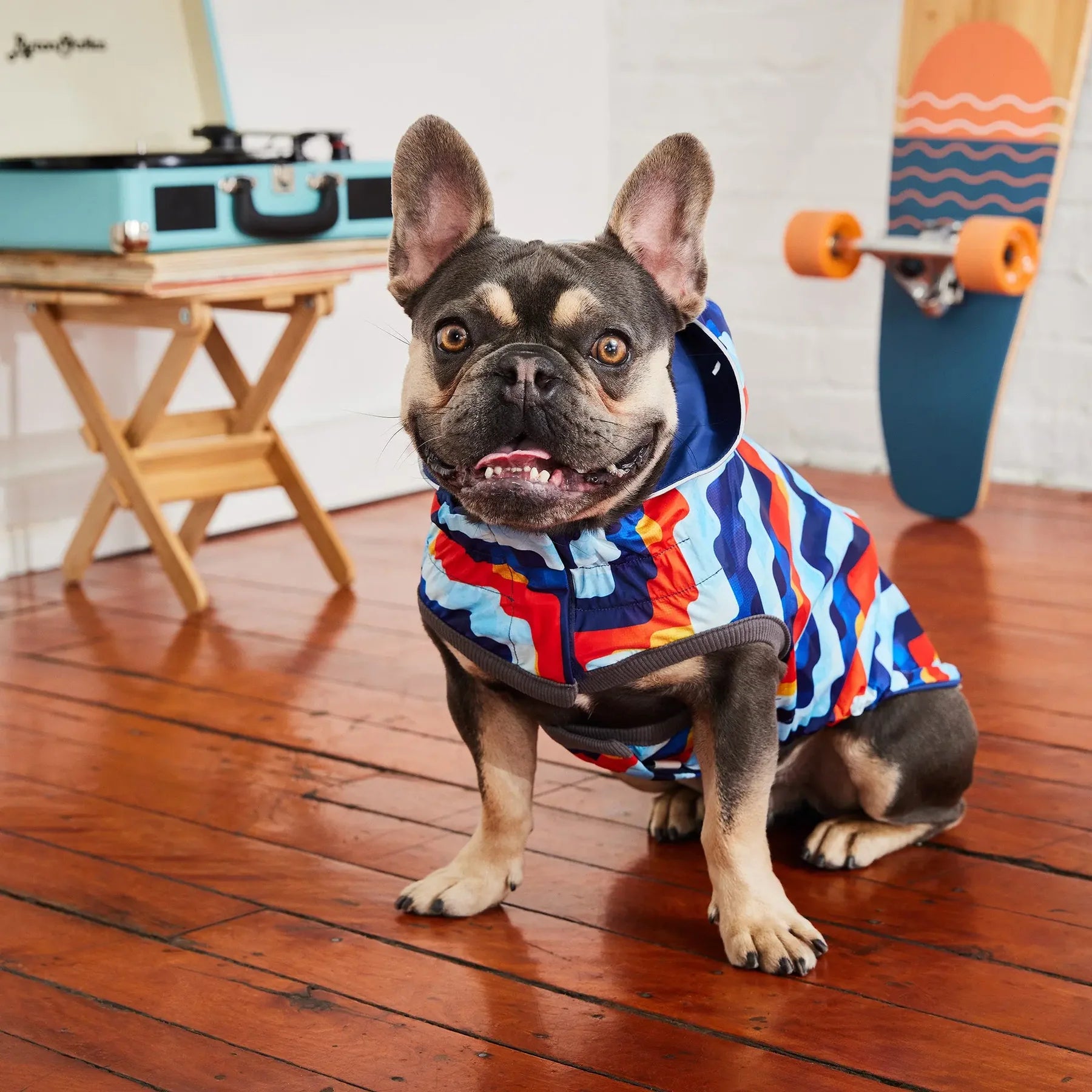 Reversible Dog Raincoat | Navy Retro