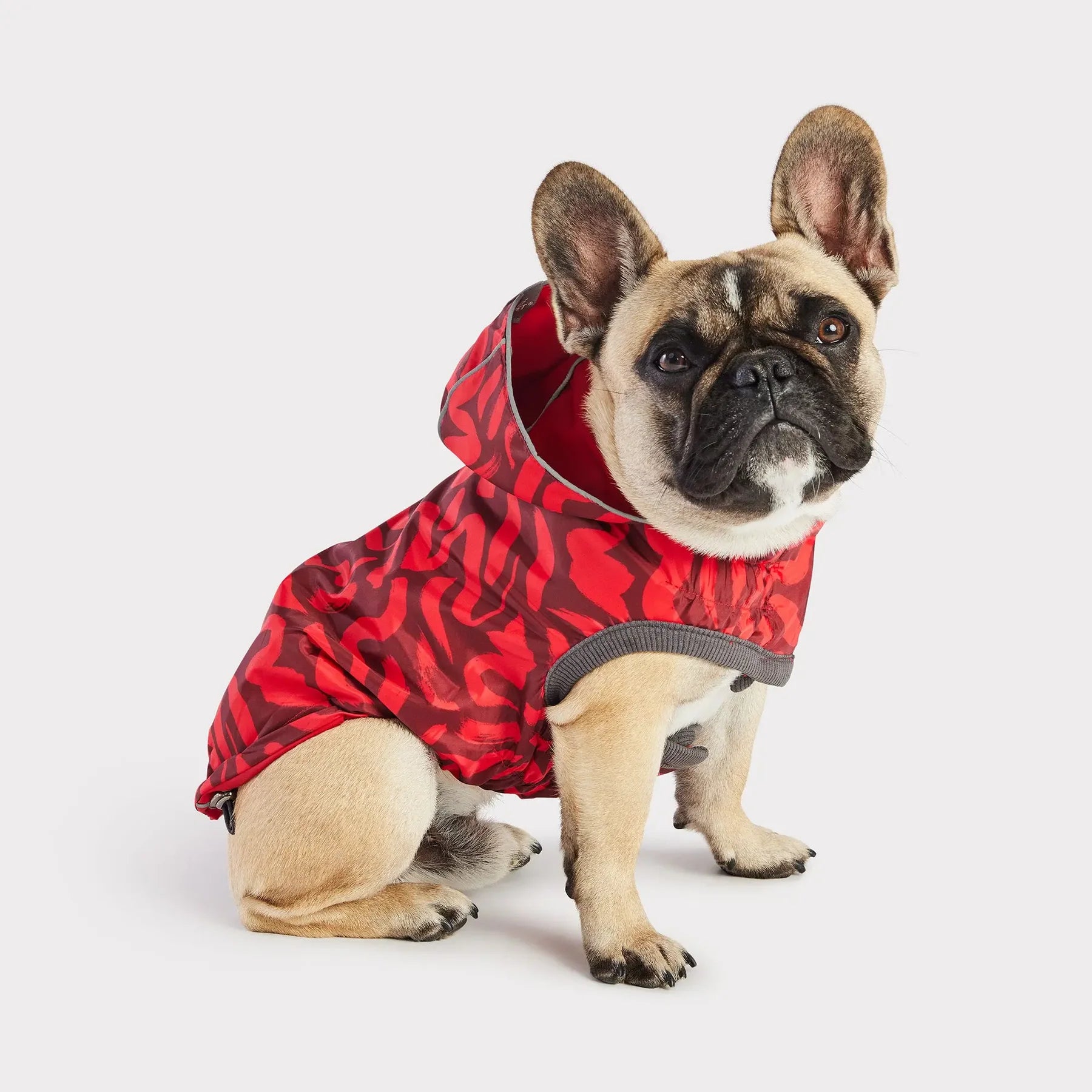 Reversible Dog Raincoat | Red Abstract