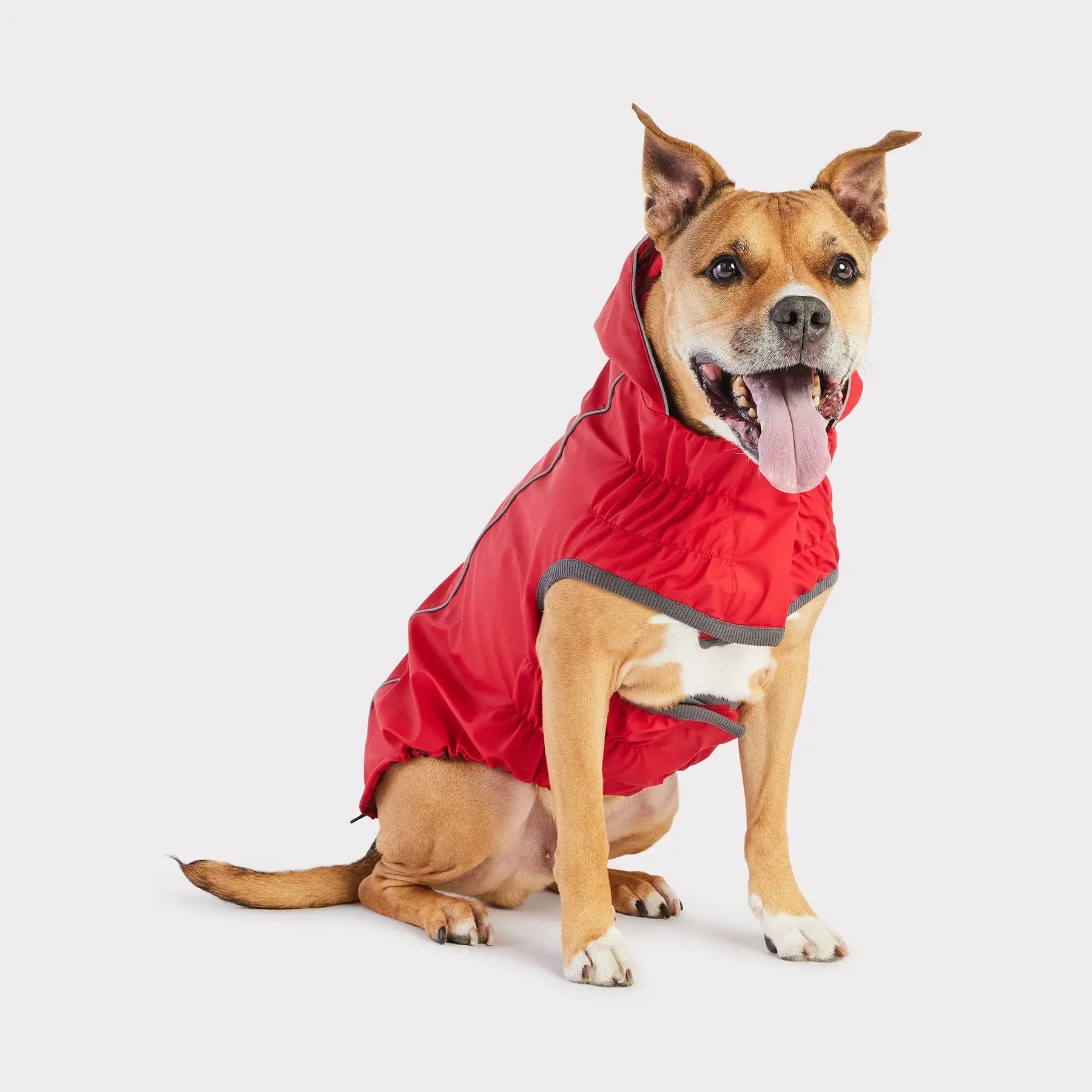 Reversible Dog Raincoat | Red Abstract