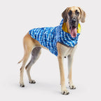 Reversible Dog Dress | Yellow Tie-Dye