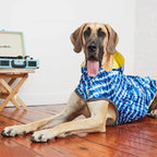 Reversible Dog Dress | Yellow Tie-Dye