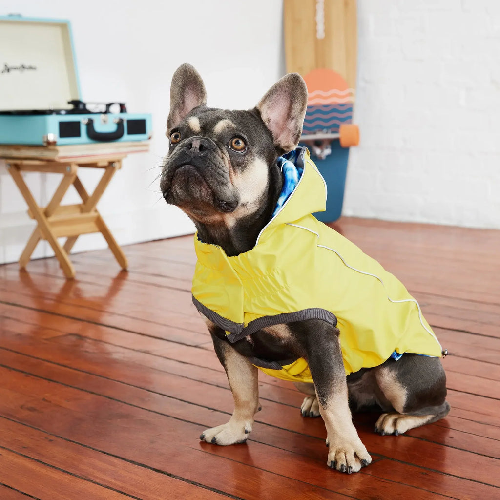 Reversible Dog Dress | Yellow Tie-Dye