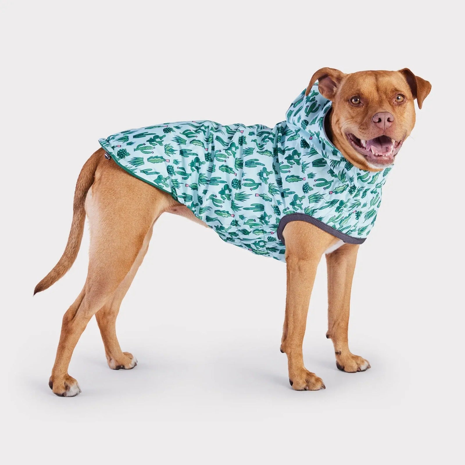 Reversible Dog Raincoat | Green Cactus