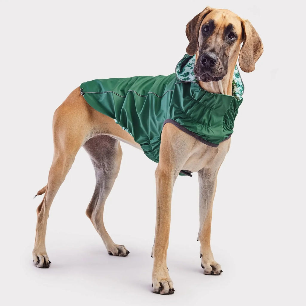 Reversible Dog Raincoat | Green Cactus