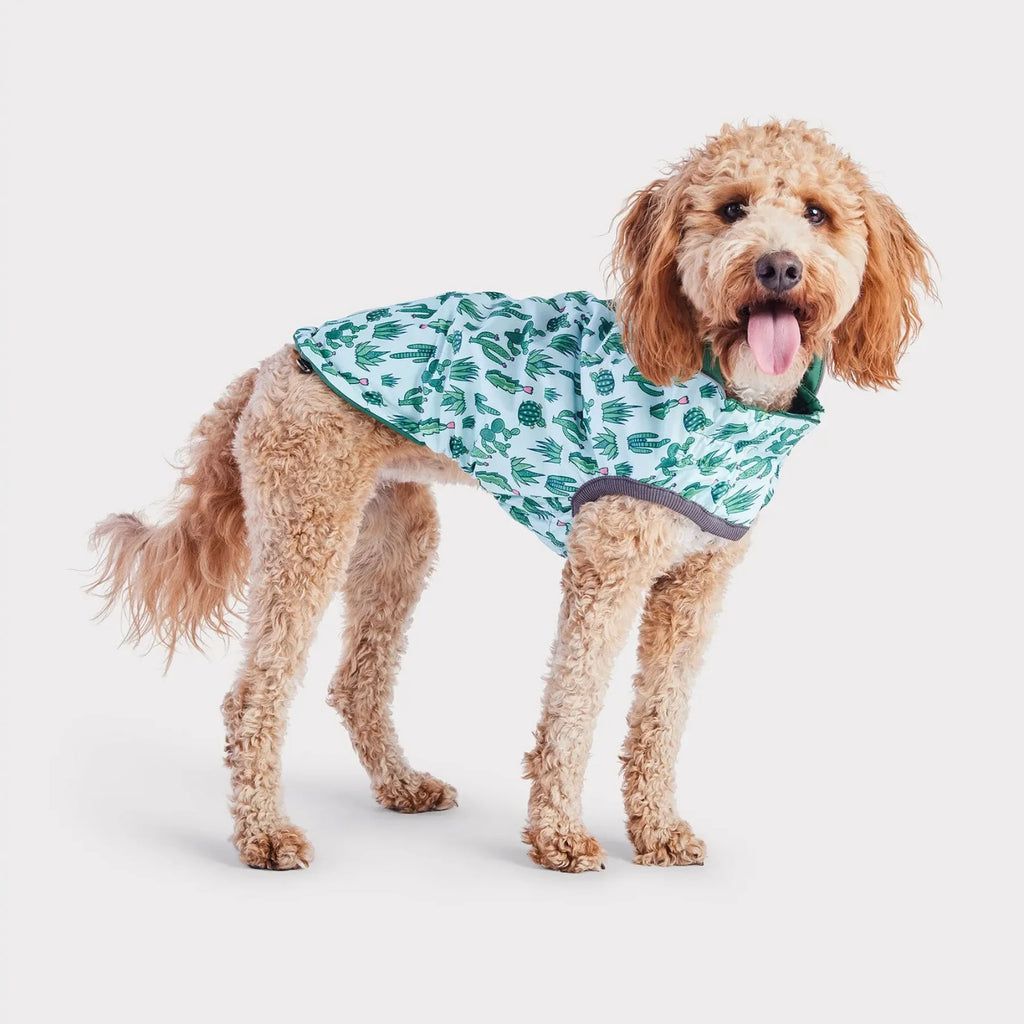 Reversible Dog Raincoat | Green Cactus