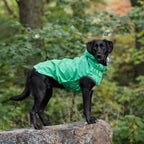 Reversible Dog Raincoat | Green Leaves