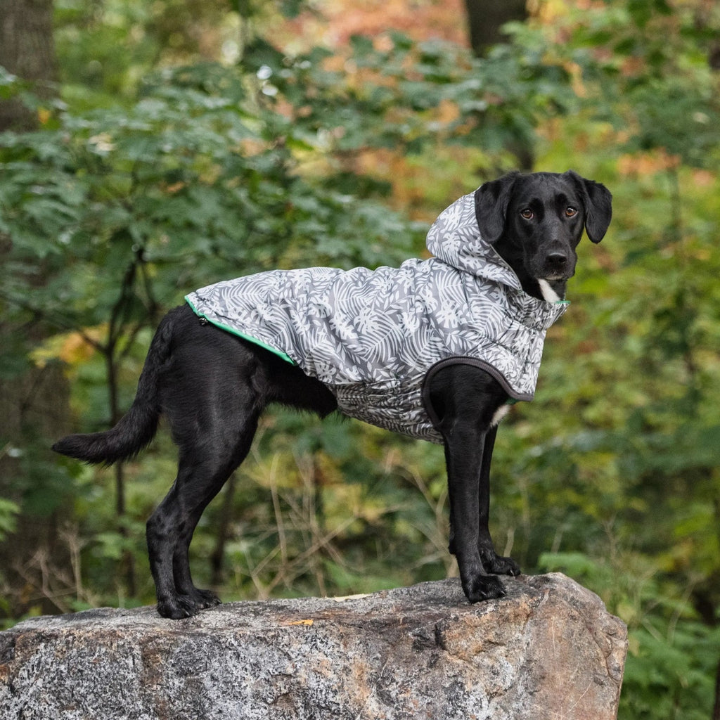 Reversible Dog Raincoat | Green Leaves