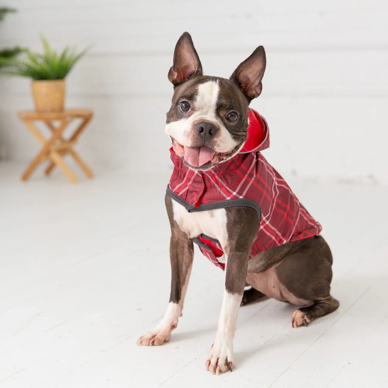 Reversible Dog Raincoat | Red Plaid