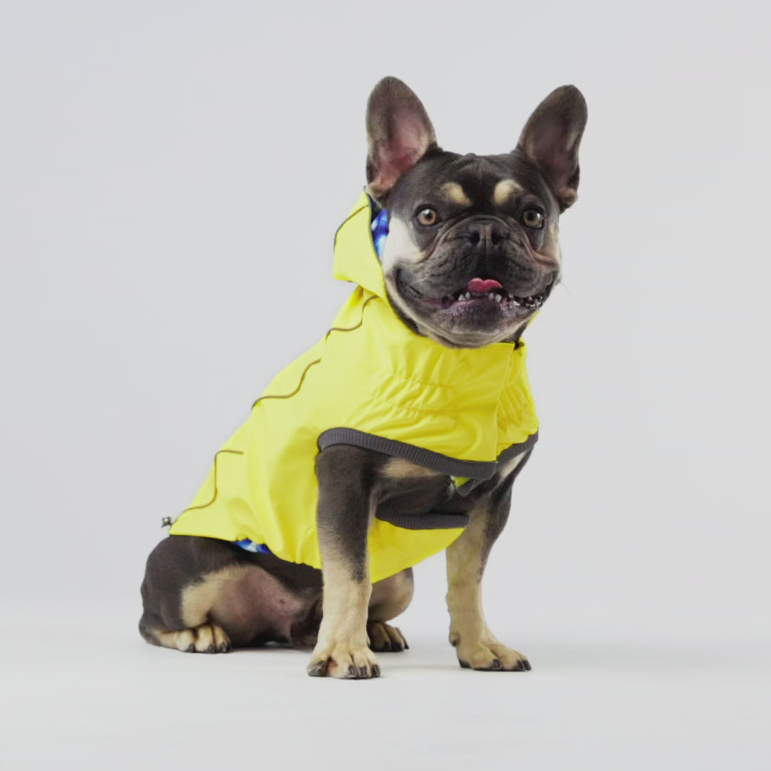 Reversible Dog Raincoat | Green Cactus