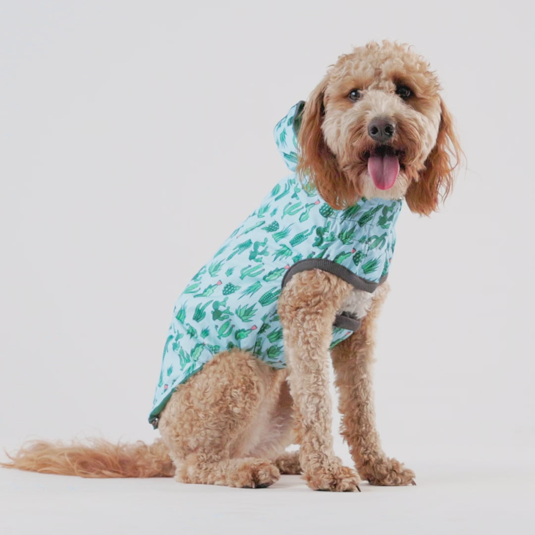 Reversible Dog Raincoat | Green Leaves